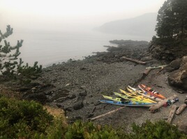 4 Day San Juan Islands Sea Kayaking Tour