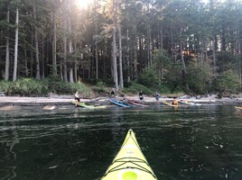 4 Day San Juan Islands Sea Kayaking Tour