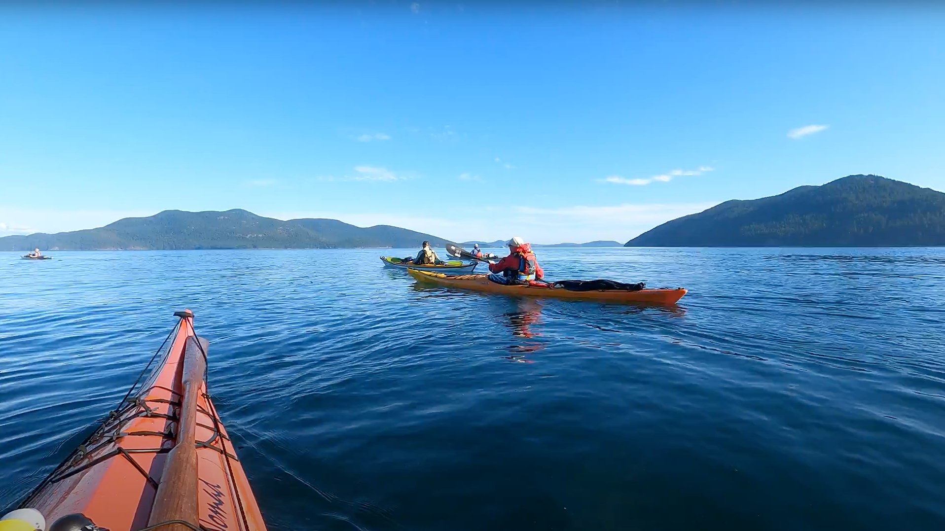 Guided Sea Kayaking Tours In the San Juan Islands Tumalo Creek